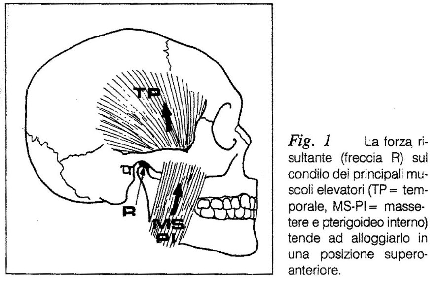 Relazione concentrica